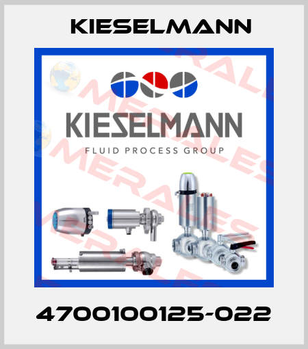 4700100125-022 Kieselmann