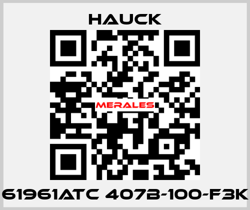 61961ATC 407B-100-F3K HAUCK