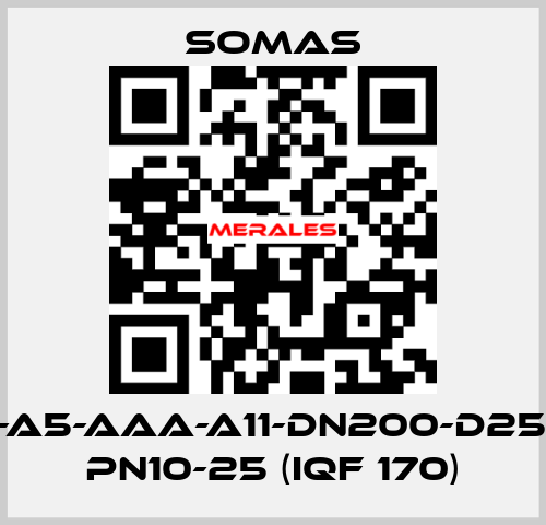 MTV-A5-AAA-A11-DN200-D25-B20 PN10-25 (IQF 170) SOMAS