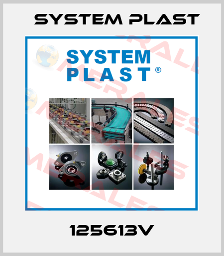 125613V System Plast