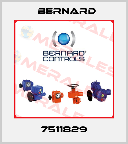 7511829 Bernard