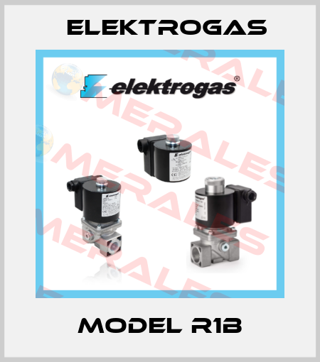 Model R1B Elektrogas