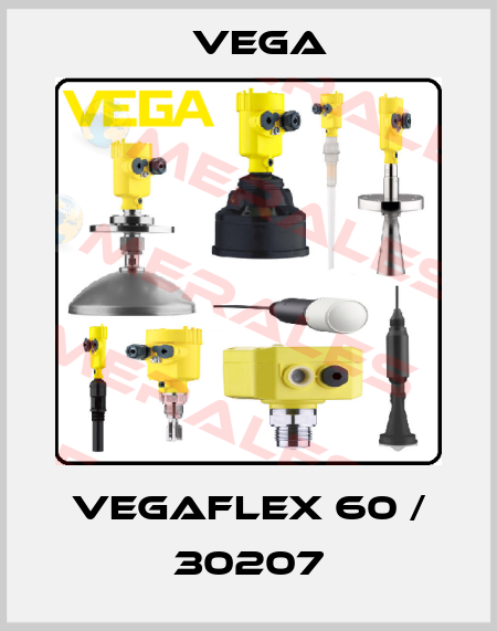 VEGAFLEX 60 / 30207 Vega