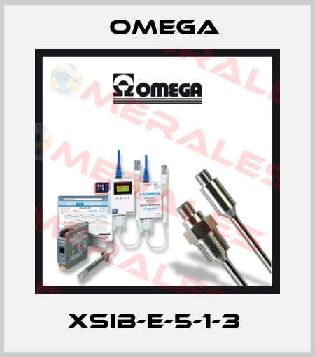 XSIB-E-5-1-3  Omega