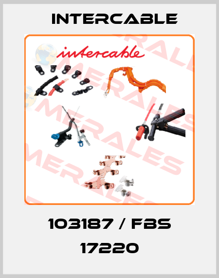 103187 / FBS 17220 Intercable