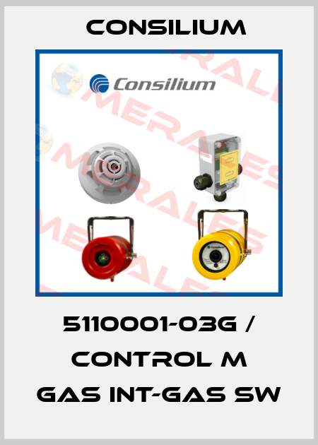 5110001-03G / Control M gas Int-Gas SW Consilium