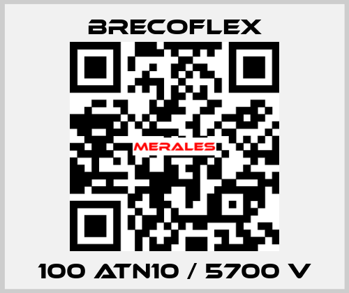 100 ATN10 / 5700 V Brecoflex