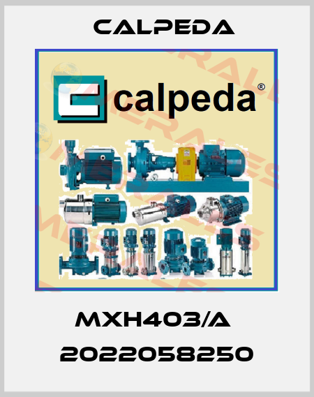MXH403/A  2022058250 Calpeda