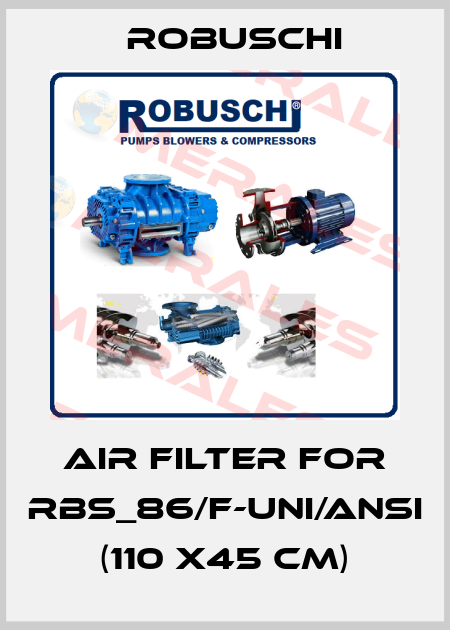 air filter for RBS_86/F-UNI/ANSI  (110 x45 cm) Robuschi