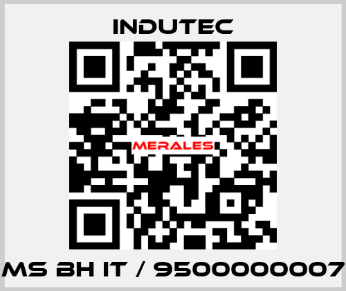 MS BH IT / 9500000007 Indutec
