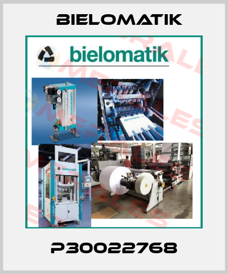 P30022768 Bielomatik