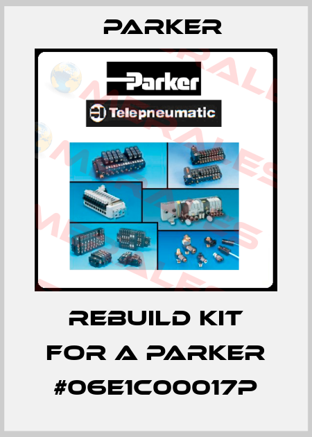 rebuild kit for a Parker #06E1C00017P Parker