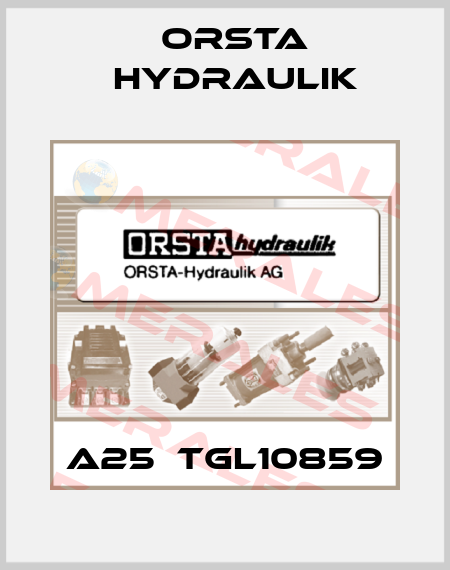 A25  TGL10859 Orsta Hydraulik