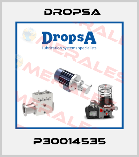 P30014535 Dropsa