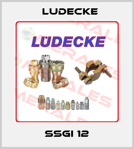 SSGI 12 Ludecke