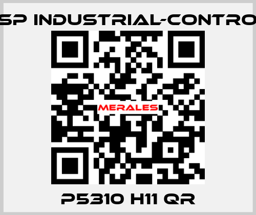 P5310 H11 QR JSP Industrial-Control