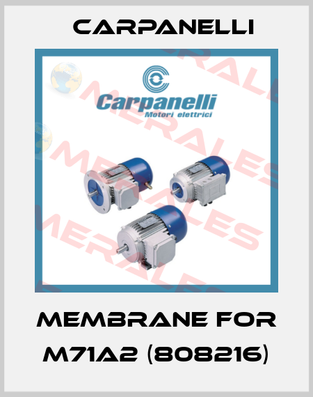 Membrane for M71A2 (808216) Carpanelli