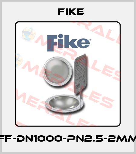 FF-DN1000-PN2.5-2MM FIKE