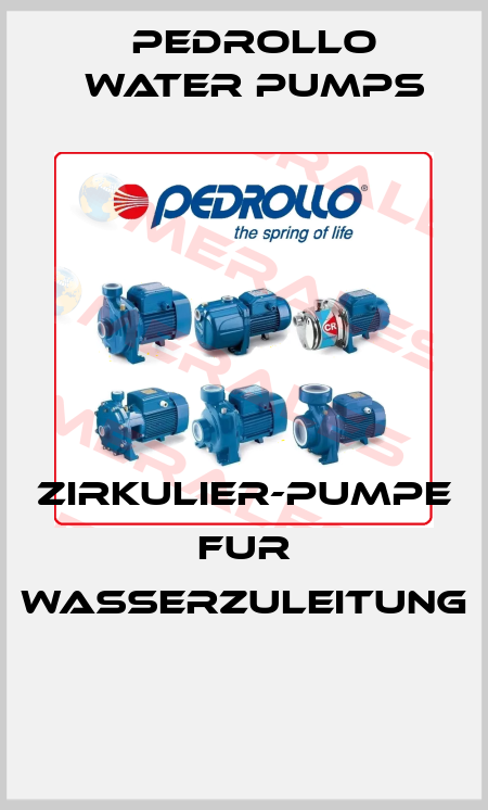 ZIRKULIER-PUMPE FUR WASSERZULEITUNG  Pedrollo Water Pumps