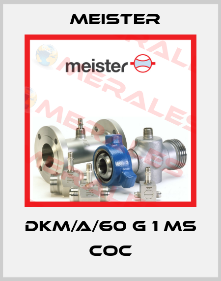 DKM/A/60 G 1 MS COC Meister