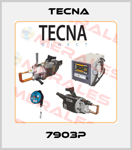 7903P Tecna