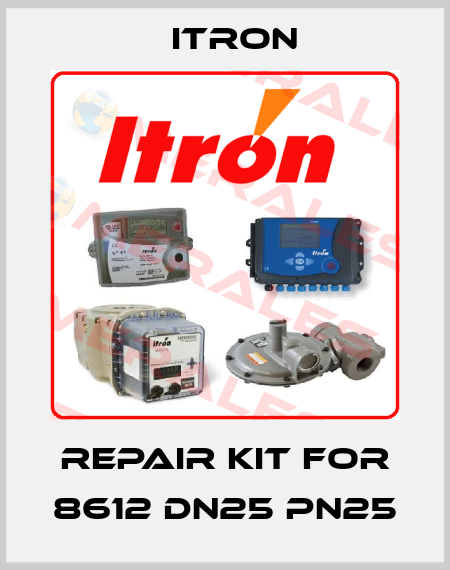 Repair kit for 8612 Dn25 Pn25 Itron