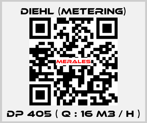 DP 405 ( Q : 16 M3 / H ) Diehl (Metering)