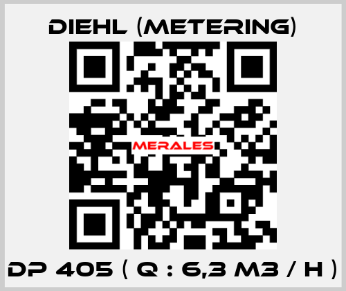 DP 405 ( Q : 6,3 M3 / H ) Diehl (Metering)