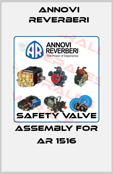 safety valve assembly for AR 1516 Annovi Reverberi