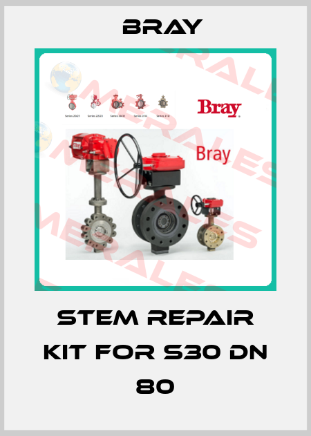 Stem repair kit for S30 DN 80 Bray