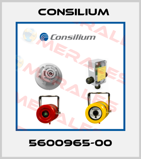 5600965-00 Consilium