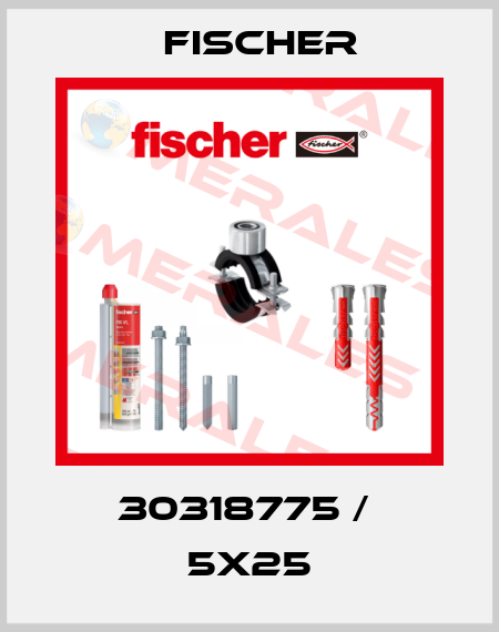 30318775 /  5x25 Fischer