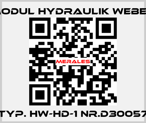 Typ. HW-HD-1 Nr.D30057 MODUL HYDRAULIK WEBER