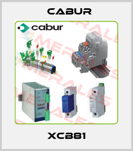 XCB81 Cabur