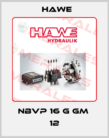 NBVP 16 G GM  12 Hawe