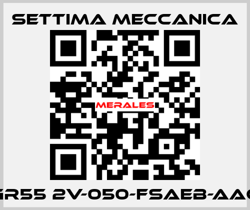 GR55 2V-050-FSAEB-AAC Settima Meccanica