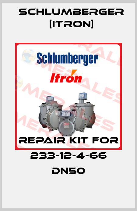 Repair kit for 233-12-4-66 DN50 Schlumberger [Itron]