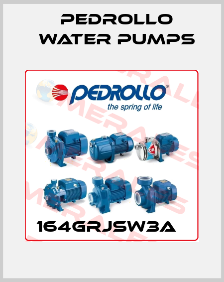 164GRJSW3A   Pedrollo Water Pumps