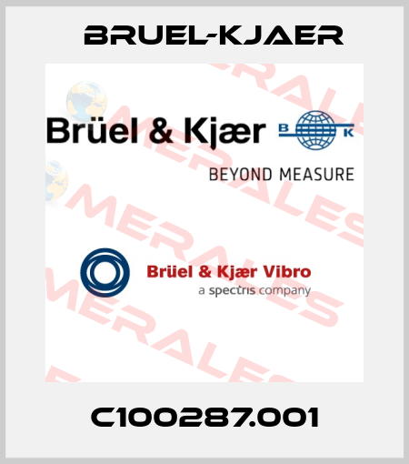 C100287.001 Bruel-Kjaer