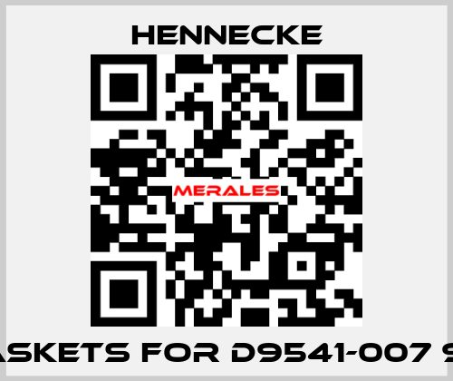 gaskets for D9541-007 913 Hennecke