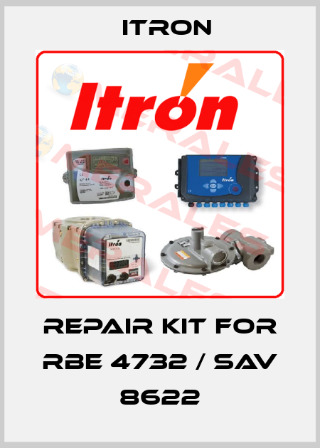 Repair kit for RBE 4732 / SAV 8622 Itron