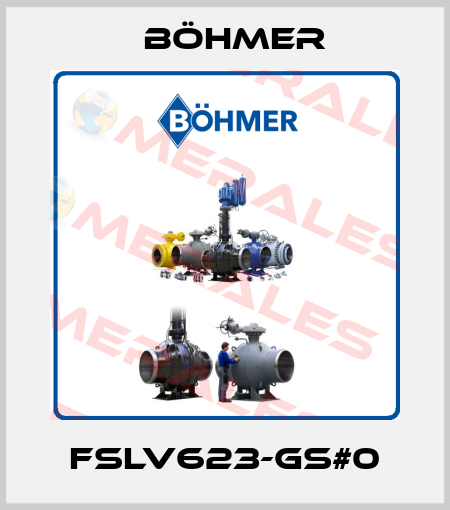 FSLV623-GS#0 Böhmer