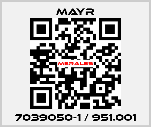 7039050-1 / 951.001 Mayr