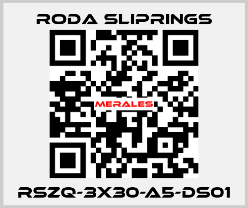 RSZQ-3X30-A5-DS01 Roda Sliprings