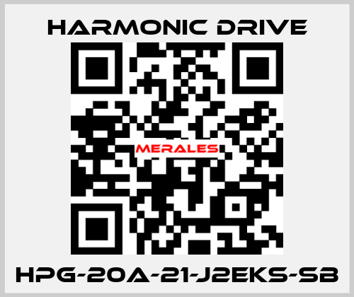 HPG-20A-21-J2EKS-SB Harmonic Drive