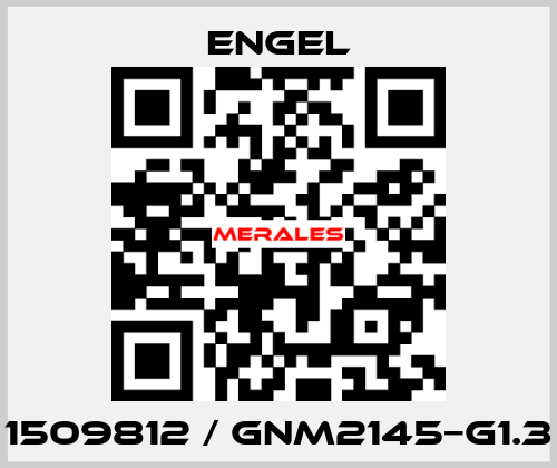 1509812 / GNM2145−G1.3 ENGEL