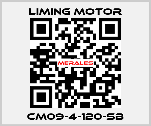 CM09-4-120-SB Liming Motor