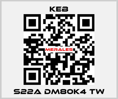 S22A DM80K4 TW KEB