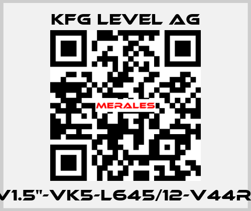 NMG125-RV1.5"-VK5-L645/12-V44R-10PVC-Ex KFG Level AG