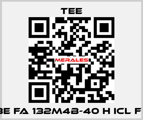 Q3E FA 132M4B-40 H Icl F S1 TEE
